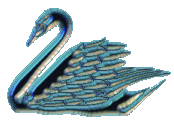 animated-swan-image-0010