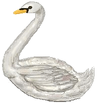 animated-swan-image-0027