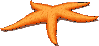 animated-starfish-image-0002