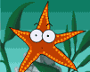 animated-starfish-image-0012