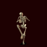 animated-skeleton-image-0001