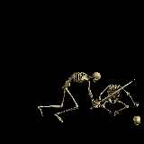 animated-skeleton-image-0005