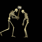 animated-skeleton-image-0036