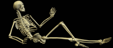 animated-skeleton-image-0048