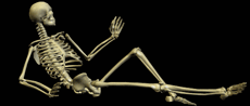 Bone animation. Костная анимация. Анимация костей. Скелет для презентации. Скелет анимация на прозрачном фоне.