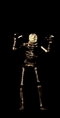 animated-skeleton-image-0085