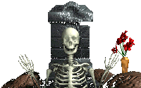 animated-skeleton-image-0088