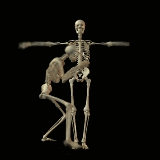 animated-skeleton-image-0104