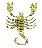animated-scorpion-image-0010