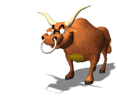 animated-bull-image-0024