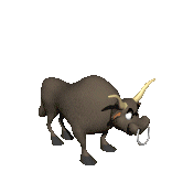 animated-bull-image-0044