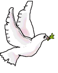 animated-pigeon-image-0033