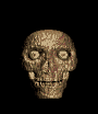 animated-skull-image-0089