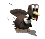 animated-turkey-image-0011