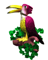 animated-toucan-image-0013