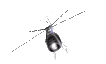 animated-aeroplane-image-0233
