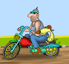 animated-motorbike-image-0001