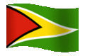 animated-guyana-flag-image-0008