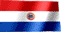 animated-paraguay-flag-image-0001