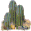 animated-cactus-image-0015