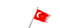 animated-turkey-flag-image-0002