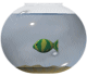 animated-aquarium-and-fish-bowl-image-0028
