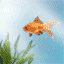 animated-landscape-image-0058