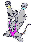 animated-animal-sport-image-0139