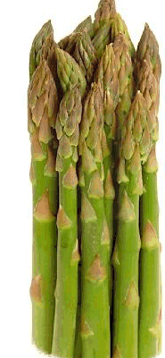 animated-aspargus-image-0012