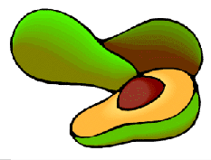 animated-avocado-image-0003