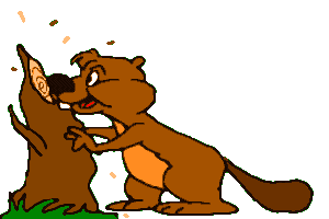 animated-beaver-image-0026