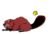 animated-beaver-image-0043