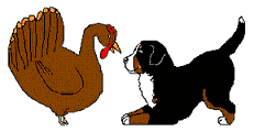 animated-bernese-mountain-dog-image-0016