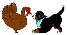animated-bernese-mountain-dog-image-0022