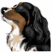 animated-bernese-mountain-dog-image-0088