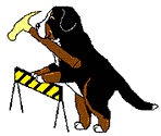 animated-bernese-mountain-dog-image-0167