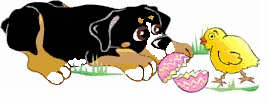 animated-bernese-mountain-dog-image-0181