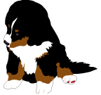 animated-bernese-mountain-dog-image-0194