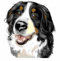 animated-bernese-mountain-dog-image-0232