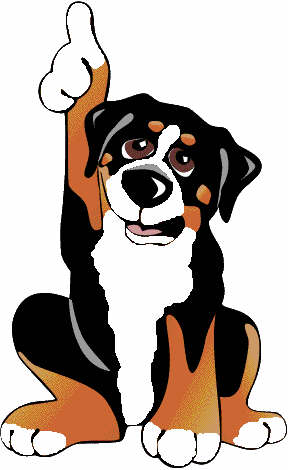 animated-bernese-mountain-dog-image-0264