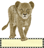 animated-blank-name-plate-image-0353