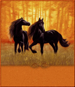 animated-blank-name-plate-image-0542